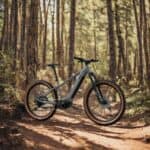 Lidl CRIVIT E-Bike PEAK 709 im Test: Preis-Leistungs-Testsieger mit Note "Sehr empfehlenswert" - Revolutionäres 100 Nm E-MTB für unter 1.600€?
