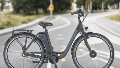 Prophete Geniesser 1.0 City E-Bike in grauem Design steht auf asphaltierter Straße mit Fahrradweg-Markierung