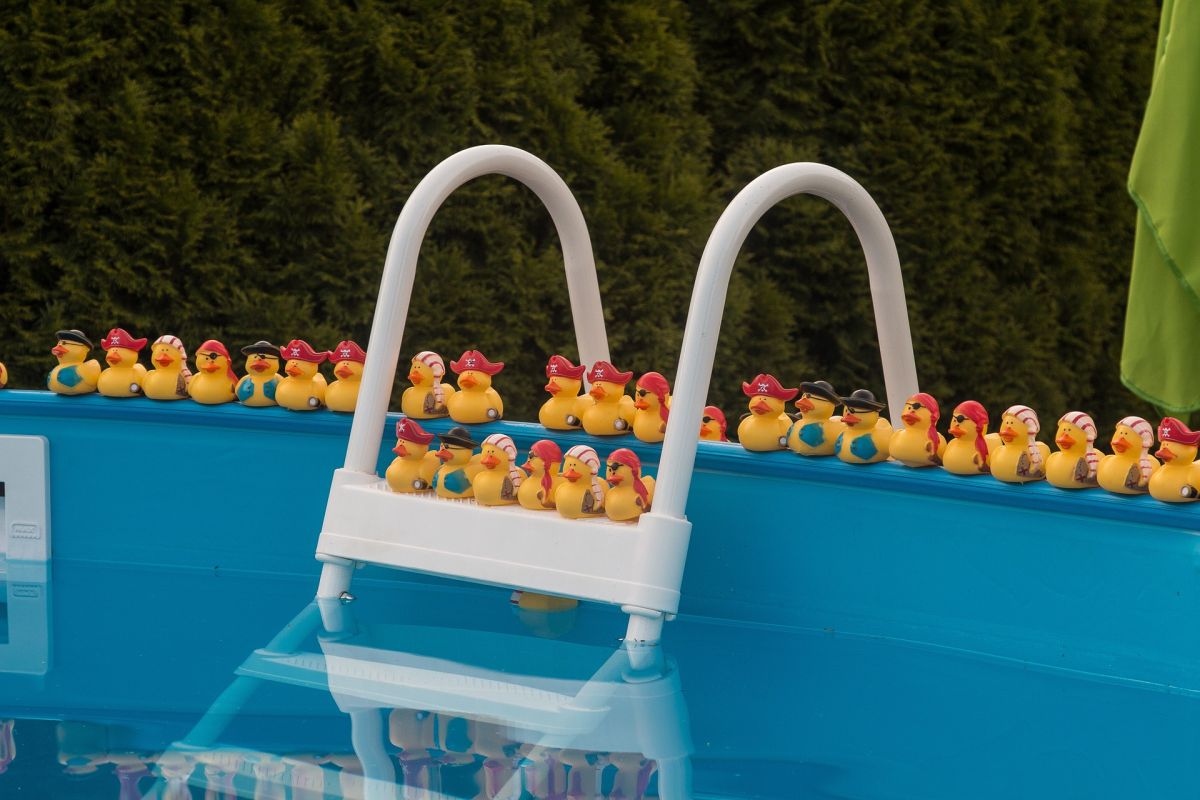 Intex Family Schwimmbecken im Check - Stahlrahmenpool in 4 verschiedenen Poolgrößen