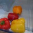 Gemüsefach bei einem Kühlschrank
