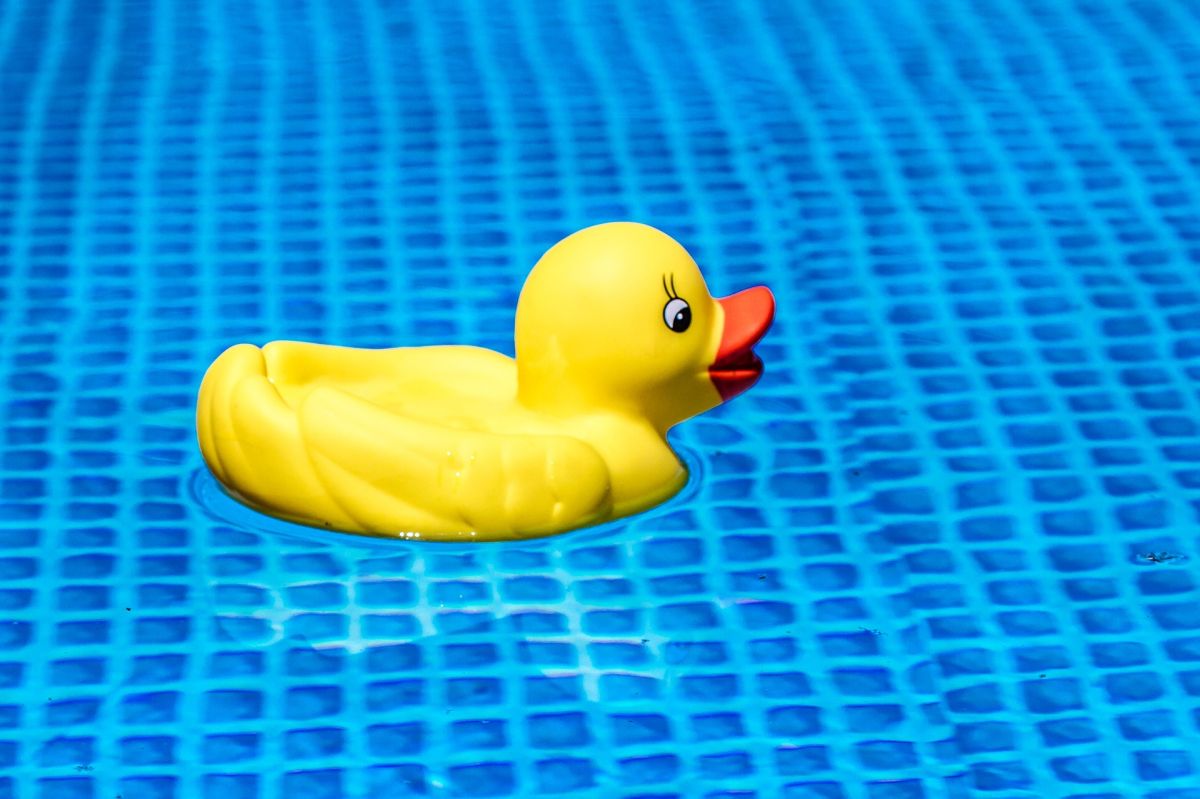 Plastikente schwimmt im Pool